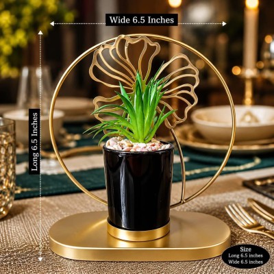 Ecorative Tabletop Planter
